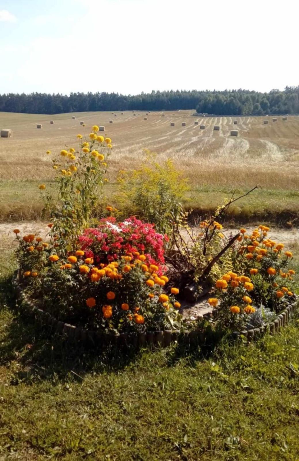 Wczasy Na Kaszubach U Hani Веле Экстерьер фото